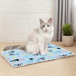 Tapis d'éveil personnalisé avec nom et prénom pour chat, chien, animal de compagnie, propriétaire, etc.