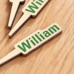Personalised Multicolour Name Wooden Cribbage Pegs Set of 3 Board Game Accessories Birthday Gift for Cribbage Lovers