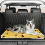 Tapis d'éveil personnalisé avec nom et prénom pour chat, chien, animal de compagnie, propriétaire, etc.