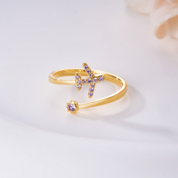 Anillo Personalizado Ajustable Avión con Piedra de Cumpleaños Joyería Delicada Regalo de Cumpleaños y Navidad para Mujeres Pilotos Entusiastas de la Aviación