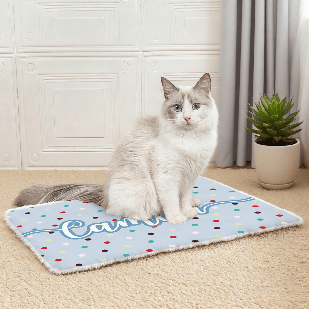 Personalized Cute Multicolour Polka Dot Soft Pet Bed Mat with Name Outdoor Activities Birthday Gift for Pet Owners Lovers 2