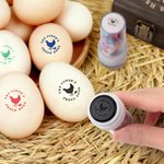 Gallina personalizzata Silhouette Uovo Timbro sicuro con nome Inchiostro alimentare e scatola Regalo di compleanno per famiglia allevatore agricoltore