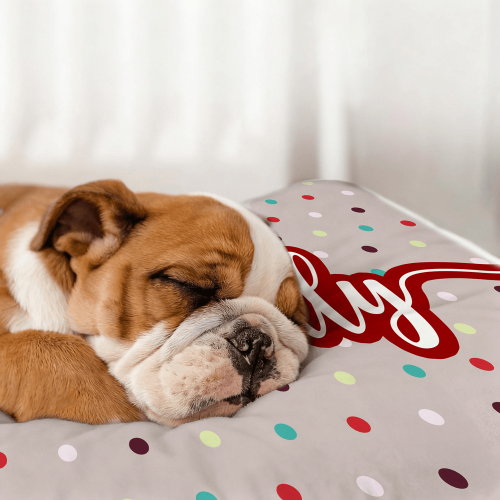 Personalized Cute Multicolour Polka Dot Soft Pet Bed Mat with Name Outdoor Activities Birthday Gift for Pet Owners Lovers 5