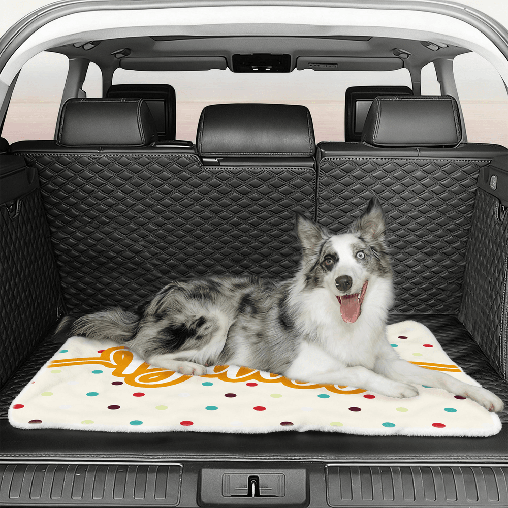 Personalized Cute Multicolour Polka Dot Soft Pet Bed Mat with Name Outdoor Activities Birthday Gift for Pet Owners Lovers 4