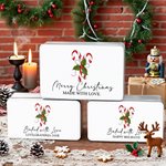 Personlig julgodis Cane Food Grade Metal Biscuit Tin Box med texter julklapp för familj barn