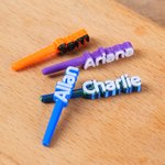 Personalized Multicolour Portable 3D Printing Cribbage Pegs with Name Set of 3 Game Night Party Gift for Cribbage Lovers Friends