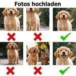 Personalisiertes Weiches Weihnachts-Sweatshirt mit 1–2 Haustier Gesichtsfoto Weihnachtsmütze Namen Text Weihnachten Geschenk für Tierbesitzer