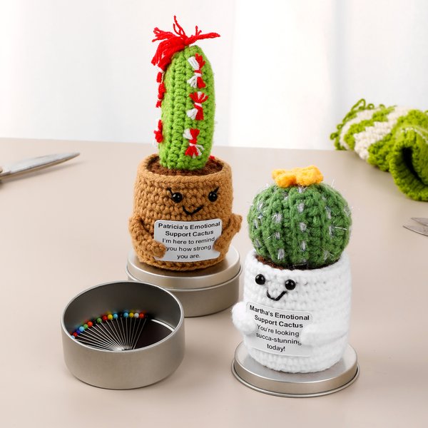 Gepersonaliseerd Gehaakt Emotioneel Steunkussen Cactus Naam Speldkussen met Magnetisch Opbergdoosje Naaibenodigdheden Cadeau voor Quilten Naaien Liefhebbers