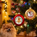 Couronne de Noël Photo Personnalisée Ornement de boule de Noël avec Nom Décoration de l'arbre de Noël Cadeau de Noël pour la famille, les amis et les propriétaires d'animaux