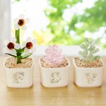 Personalized Artificial Succulent Cactus Stained Glass Potted Plants with Initial Desk Office Shelf Decor Birthday Gift for Plant Killers Enthusiasts