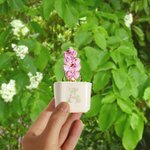 Personalized Artificial Succulent Cactus Stained Glass Potted Plants with Initial Desk Office Shelf Decor Birthday Gift for Plant Killers Enthusiasts