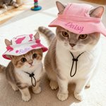 Personalizado Multicolor Leche Patrón Ajustable Pet Bucket Hat con nombre bordado Pet Daily Wear Birthday Gift for Pet Mom Dad Pet Lovers