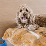 Personalized Cute 3D Cartoon Multicolor Soft Pet Blanket with Name Pet Supplies Birthday Gift for Cat Dog Pet Lovers