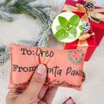 Personalised Christmas Envelope Bell Cat Toy with Catnip and Name Cat Christmas Party Gift for Cat Owner Lover