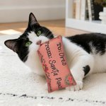 Personalised Christmas Envelope Bell Cat Toy with Catnip and Name Cat Christmas Party Gift for Cat Owner Lover