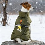 Henkilökohtainen söpö Bone Star Pet Talvi tuulenpitävä takki nimi Syntymäpäivälahja lemmikkieläinten omistajille