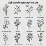 Gepersonaliseerde Geboortebloem Ketting met  Fotomedaillon en Gegraveerde Naam Verjaardag- en Jubileumcadeau voor Dames