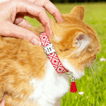 Gepersonaliseerde Paw Bone Hart Verstelbare Gevlochten Halsband met Naam Kwastje en Touw Dagelijks Gebruik Huisdier Verjaardag Verjaardagscadeau voor Huisdierliefhebber