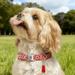Gepersonaliseerde Paw Bone Hart Verstelbare Gevlochten Halsband met Naam Kwastje en Touw Dagelijks Gebruik Huisdier Verjaardag Verjaardagscadeau voor Huisdierliefhebber
