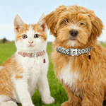 Gepersonaliseerde Paw Bone Hart Verstelbare Gevlochten Halsband met Naam Kwastje en Touw Dagelijks Gebruik Huisdier Verjaardag Verjaardagscadeau voor Huisdierliefhebber