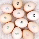 Nome della fattoria e iniziale personalizzata Timbro per uova sicure con inchiostro alimentare e scatola di legno Regalo di Natale per famiglia, allevatore e agricoltore