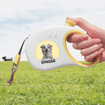 Personalised Cute 3D Cartoon Dog Leash with Name Outdoor Accessories Pet Party Christmas Birthday Gift for Pet Owners