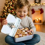 Personalized Cute 1-6 Cartoon Animals Snowflake Food-Grade Metal Biscuit Tin Storage Box with Name Christmas Gift for Family Kids