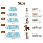 Personalized Multicolour 3D Cartoon Dog Cat Soft Pet Mat with Name Pet Birthday Adoption Anniversary Christmas Gift for Pet Lovers Owners