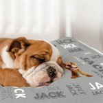 Personalized Multicolour 3D Cartoon Dog Cat Soft Pet Mat with Name Pet Birthday Adoption Anniversary Christmas Gift for Pet Lovers Owners