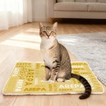 Personalized Multicolour 3D Cartoon Dog Cat Soft Pet Mat with Name Pet Birthday Adoption Anniversary Christmas Gift for Pet Lovers Owners