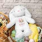 Personalisierte erste Ostereier Peter Rabbit niedlichen Plüsch Plüschtier Spielzeug mit Namen und Jahr erste Ostergeschenk für Kinder