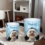 Personalisierter Spielzeugkorb mit Cartoon Hund und Namen | Faltbarer Wäschekorb | Geburtstag, Hauseinweihung, Adoption Geschenk für Hundebesitzer