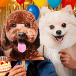 Personalisierter Foto-Maskenstab mit Hunde- oder Katzengesicht | Haustierfoto | Party- und Foto-Requisite | Geschenk für Tierbesitzer Tierliebhaber