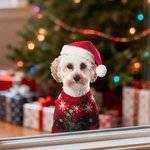 Gepersonaliseerde kerstmuts sweater huisdier gezicht foto dubbelzijdig printen kerst raamstickers kerstcadeau voor huisdiereigenaren dierenliefhebbers