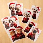 Gepersonaliseerde kerstmuts sweater huisdier gezicht foto dubbelzijdig printen kerst raamstickers kerstcadeau voor huisdiereigenaren dierenliefhebbers