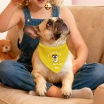 Spersonalizowana świąteczna chusta 3D Cute Cartoon Dog Cat Regulowana chusta z imieniem i tekstem Prezent urodzinowy dla właścicieli zwierząt domowych