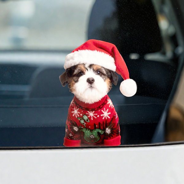 Gepersonaliseerde kerstmuts sweater huisdier gezicht foto dubbelzijdig printen kerst raamstickers kerstcadeau voor huisdiereigenaren dierenliefhebbers