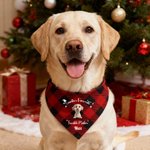 Personalisiertes Katze- und Hundehalstuch mit Niedlichem Cartoon-Hund oder Katze Namen und Wunschtext Bandana Geburtstag Geschenk für Haustierbesitzer