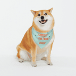 Personalized Show Girl I Protect the Family Soft Pet Bandana with Name and Adjustable Buckle Pet Wear Birthday Gift for Pet Lover