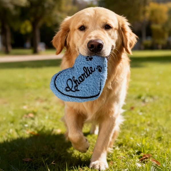 Personalised Embroidered Design Heart Pet Toy with Squeaker and Name Birthday Christmas Party Gift for Pet Owner Lover New Puppy