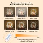 Veilleuse LED Acrylique Personnalisée avec Nom et Motif d'Animal Décoration Lumière Monochromatique ou Trois Couleurs Cadeau Anniversaire pour Enfant