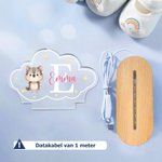 Gepersonaliseerd Acryl LED Nachtlampje met Schattige Dieren Naam en Houten Basis Kinderkamerdecoratie Verjaardagscadeau voor Kinderen en Pasgeborenen