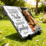 Gepersonaliseerde You Were My Favorite Hello huisdier gedenkteken foto tuin steen met naam binnenplaats Keepsake geschenk voor huisdiereigenaren tuinieren liefhebbers