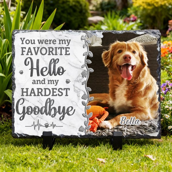 Gepersonaliseerde You Were My Favorite Hello huisdier gedenkteken foto tuin steen met naam binnenplaats Keepsake geschenk voor huisdiereigenaren tuinieren liefhebbers