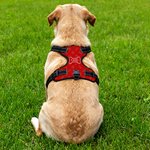 Personalised 3D Cartoon Dog Paw Bone Design Adjustable Reflective Pet Chest Harness with Name Pet Party Birthday Gift for Dog Owners