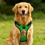 Personalised 3D Cartoon Dog Paw Bone Design Adjustable Reflective Pet Chest Harness with Name Pet Party Birthday Gift for Dog Owners