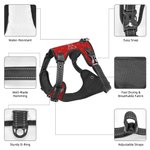 Personalised 3D Cartoon Dog Paw Bone Design Adjustable Reflective Pet Chest Harness with Name Pet Party Birthday Gift for Dog Owners