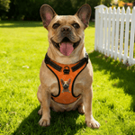 Personalised 3D Cartoon Dog Paw Bone Design Adjustable Reflective Pet Chest Harness with Name Pet Party Birthday Gift for Dog Owners