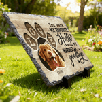 Gepersonaliseerd slijtvast huisdier gedenkteken fototuin steen met naam en titel binnenplaats Decor Pet Keepsake Gift voor huisdiereigenaren tuinliefhebbers