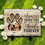 Gepersonaliseerd slijtvast huisdier gedenkteken fototuin steen met naam en titel binnenplaats Decor Pet Keepsake Gift voor huisdiereigenaren tuinliefhebbers